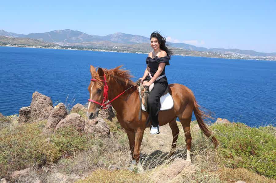 Bodrum: Horse Riding Experience with Forest or Seaside Route - photo 5