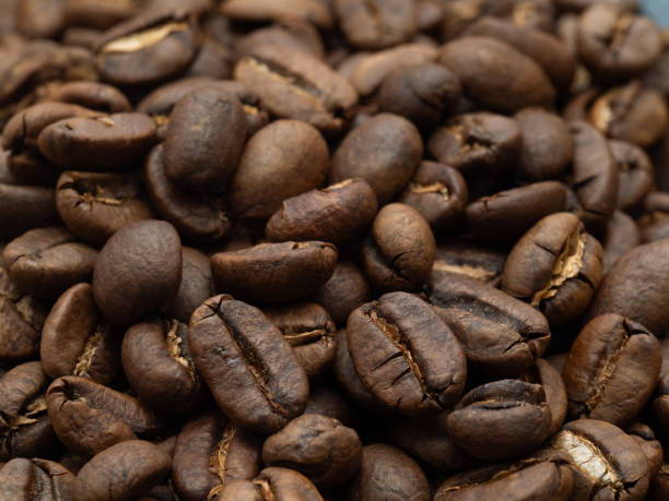 マンデリン コーヒー