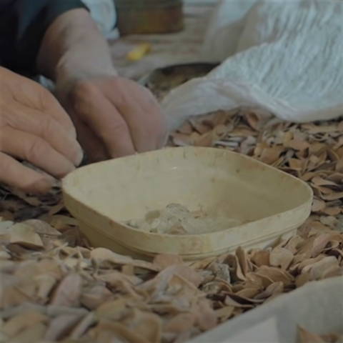 separating-mastic-gum