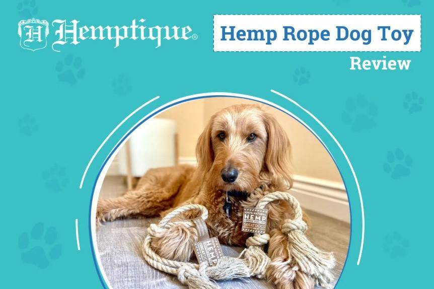 Hemptique Dog Toys Review on Dogster