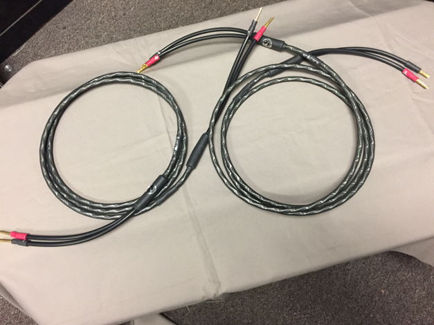 Synergistic Research SR Core Speaker Cables 8ft with ba...