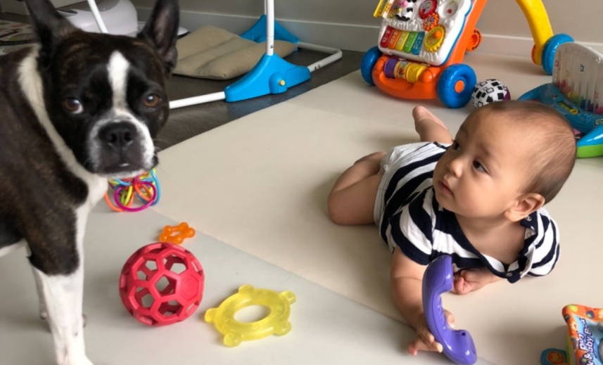 baby and dog playing on playmat during tummy time