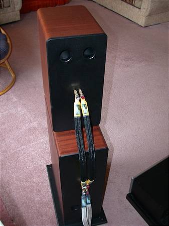 Speaker Cabling