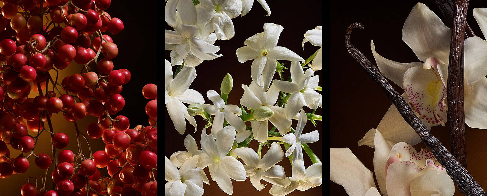 ドルチェ＆ガッバーナ ザ・ワン オードパルファム インテンス