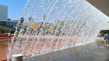 Main Content Image