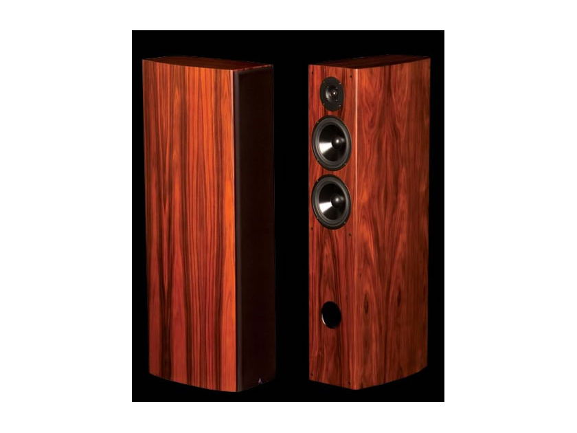 LSA 2.1 New Rosewood Tower speakers-Save $1600