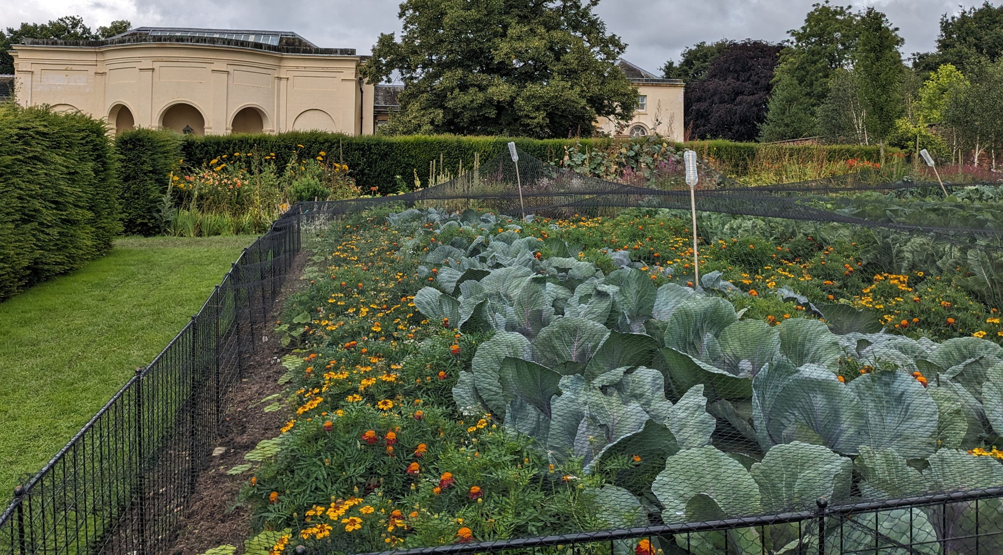 garden bed with netting