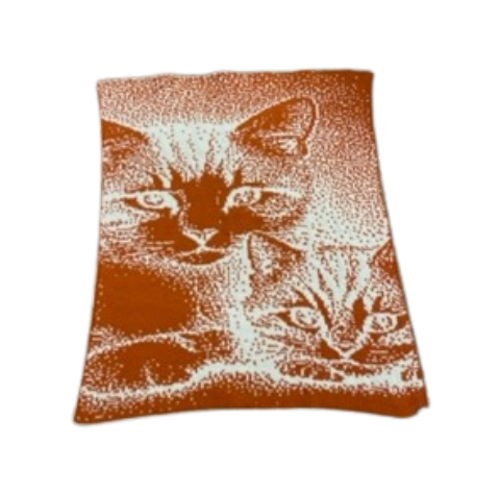 2 Little Kittens