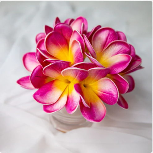 Orchid Frangipani Flowerhead (6 Pack)- Realistic Artificial Flowers - Image 3