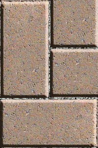 Holland Pavers in Field