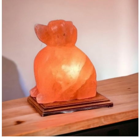 Salt Lamp - Dog Lamp