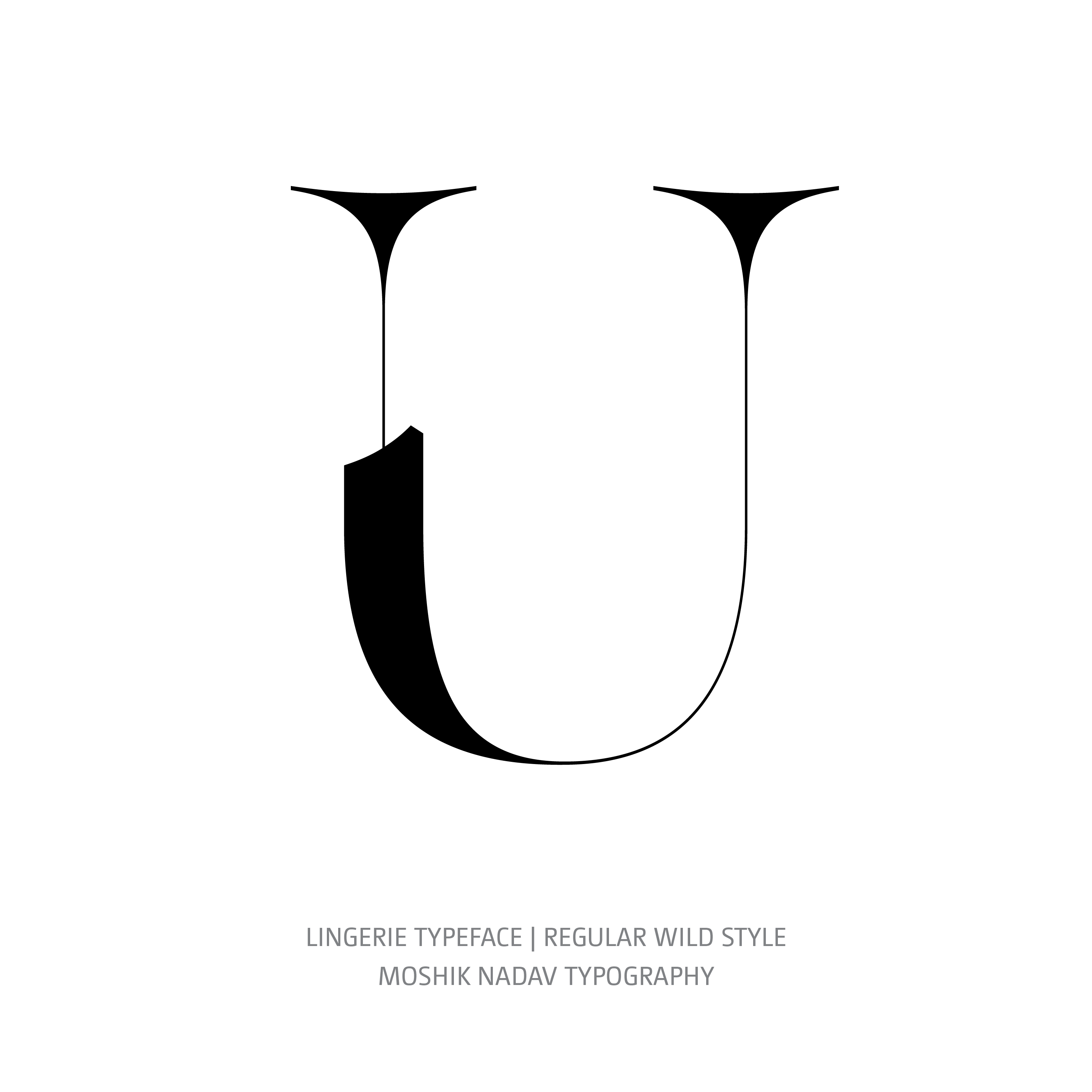 Lingerie Typeface Regular Wild U