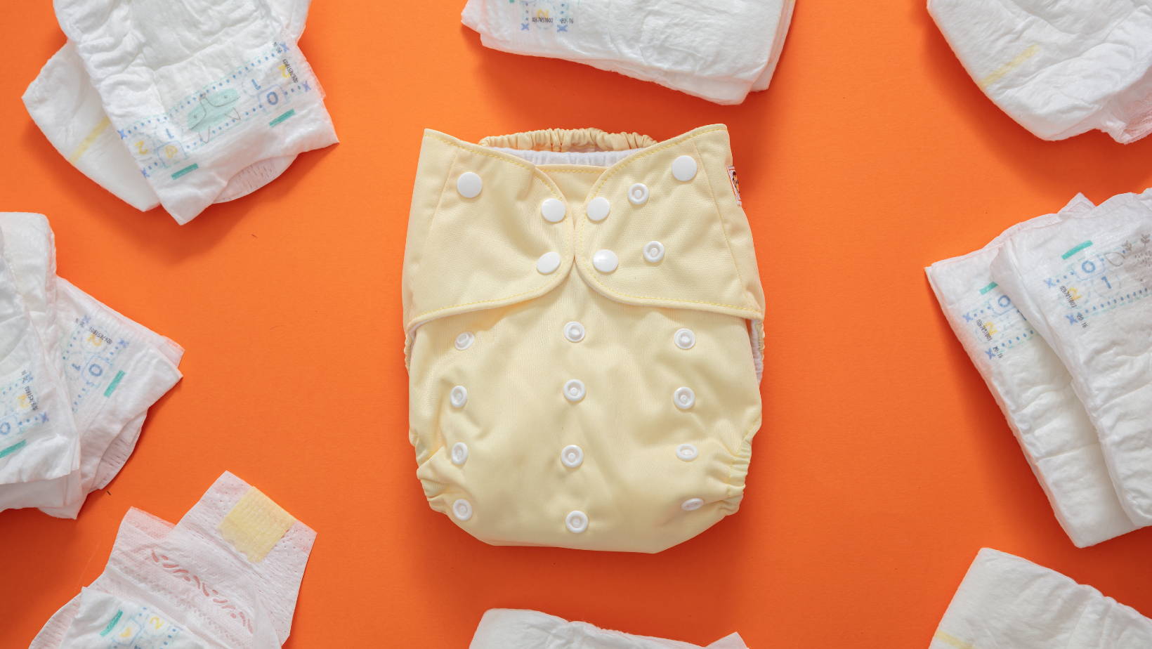 Reusable diaper with disposable diapers around | My Organic Company