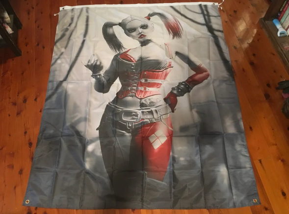 6x5 foot Batman Joker Harley Quinn Mancave Idea