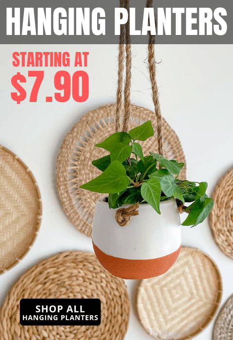 Hycroft Home Decor - Hanging Planters
