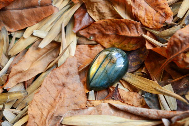 A Labradorite Crystal