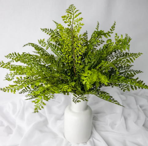 Maidenhair Fern - Realistic Artificial Flowers and Greenery - Image 3