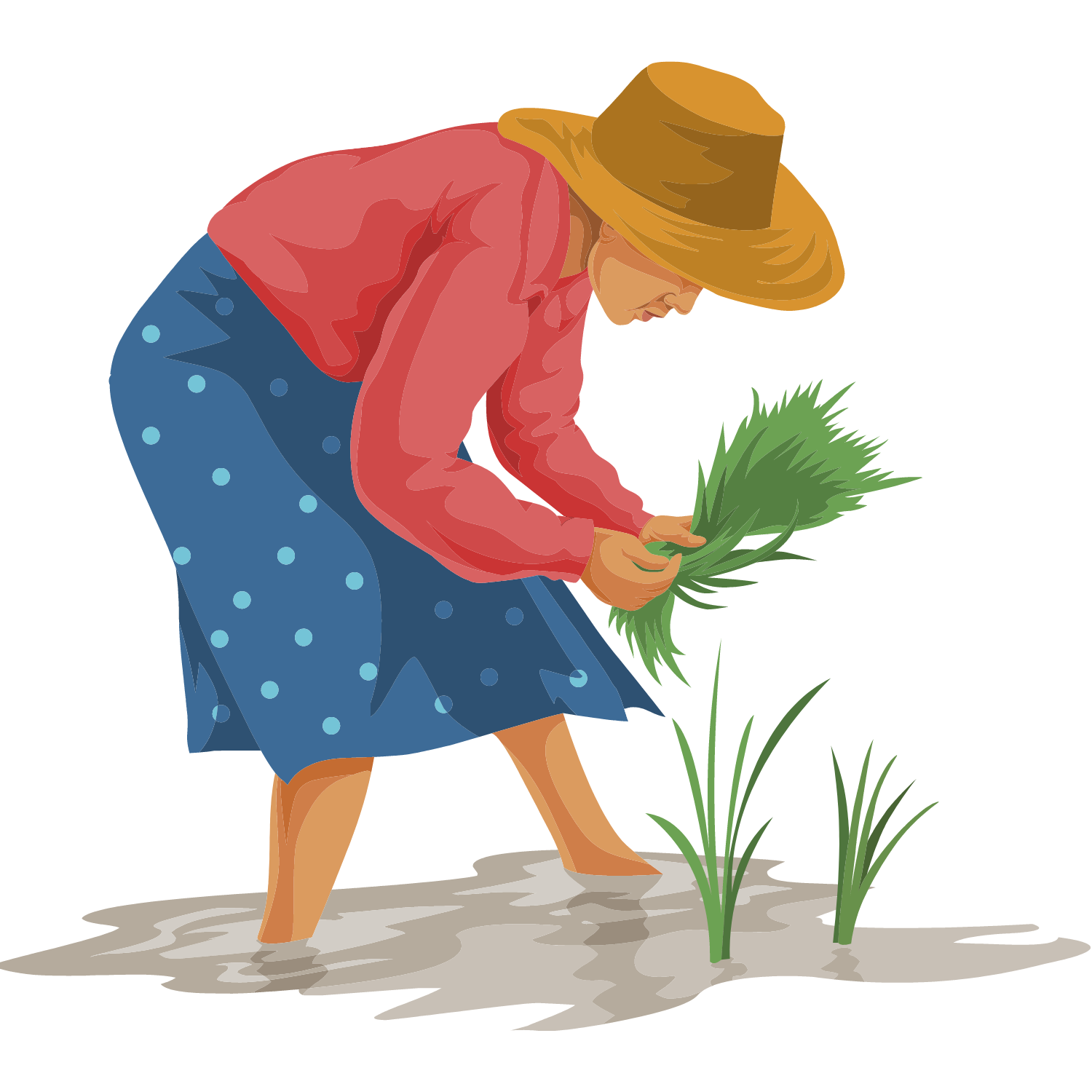 Illustration of a woman planting trees.