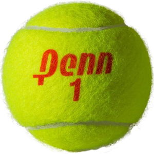 Penn Championship Tennis Balls - Regular Duty Felt Pressurized Tennis Balls - 2 cans 6 balls