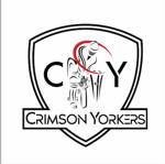Crimson Yorkers Logo