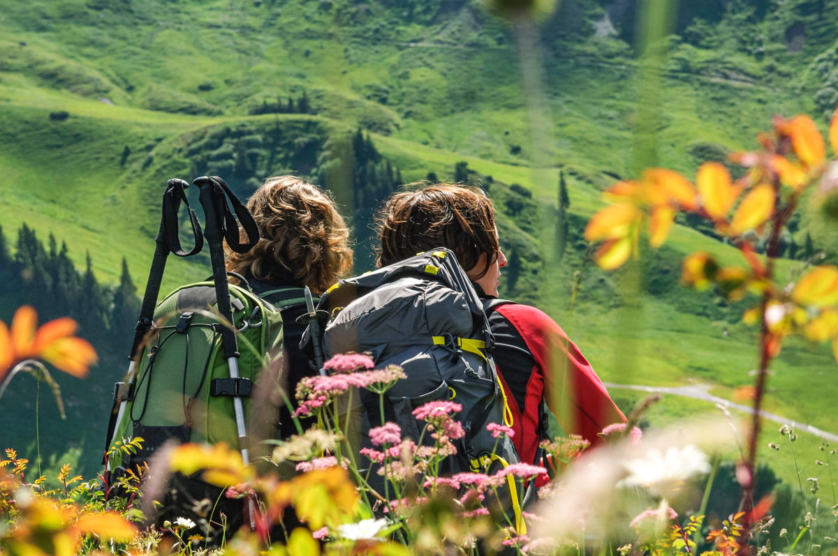 Allgäu Skywalk Baumwipfelpfad
