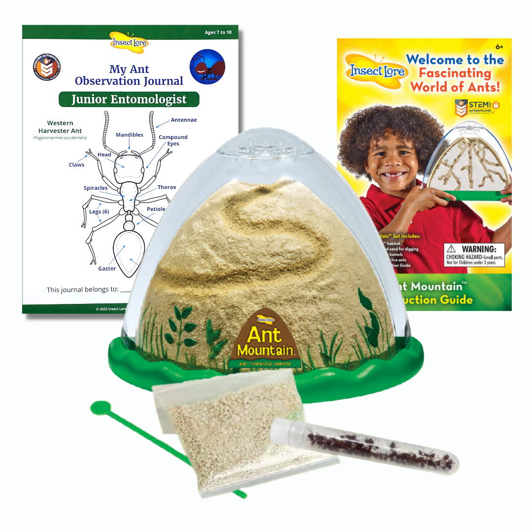 Tube of Ladybug Larvae for Ladybug Land Habitat