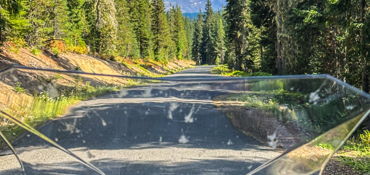 Explore the Gifford Pinchot near Toledo, WA