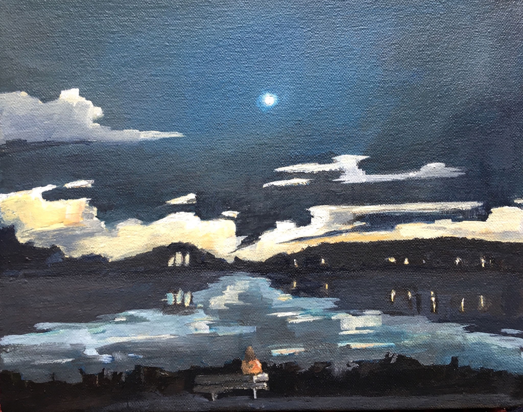 Swanpool pond at night