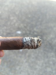 Cigar Session Photo