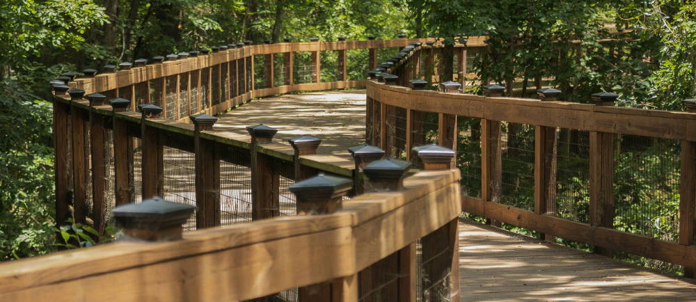 A tallahassee cycleway