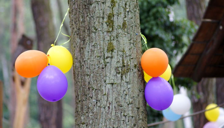 haus natur und umwelt luftballons