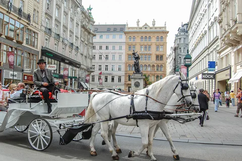 Transfer Budapest - Vienna