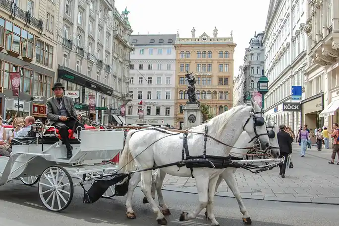 Transfer Budapest - Vienna