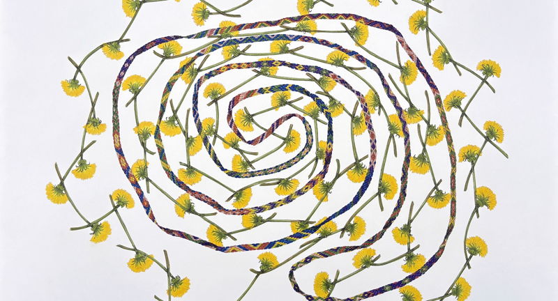 Garrison Art Center Presents 'Rover' by Mara Baldwin