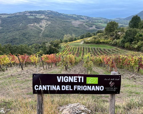 Food & Wine Tours Maranello: The hills of Modena: tour from cellar to table.