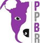Prairie Pit Bull Rescue logo