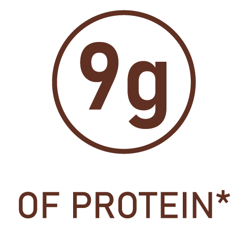 Icon-9g_of_Protein