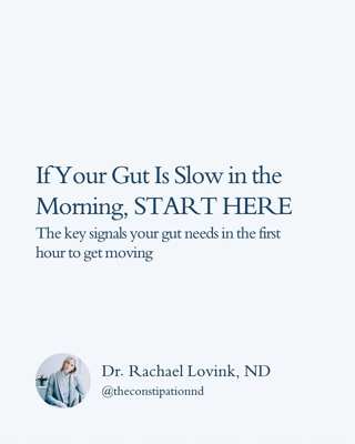 Most people don’t realize how much the first hour of the day shapes their digestion.

Your gut respo...