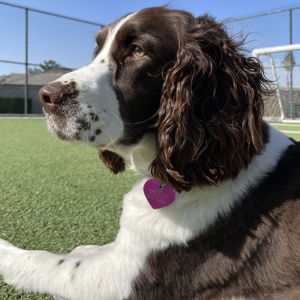 Millie Health fund
