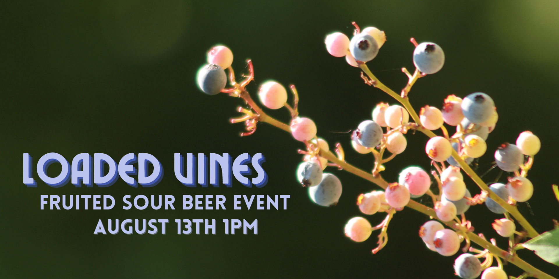 Loaded Vines Sour Release Event promotional image