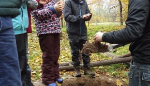 auwaldstation waldboden