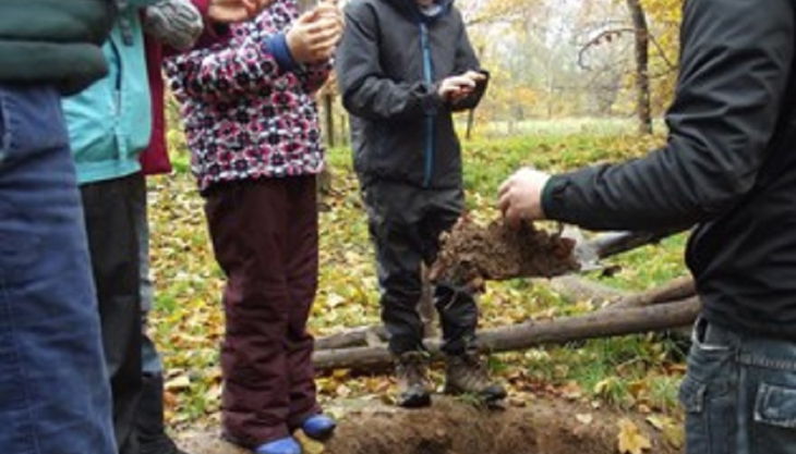 auwaldstation waldboden