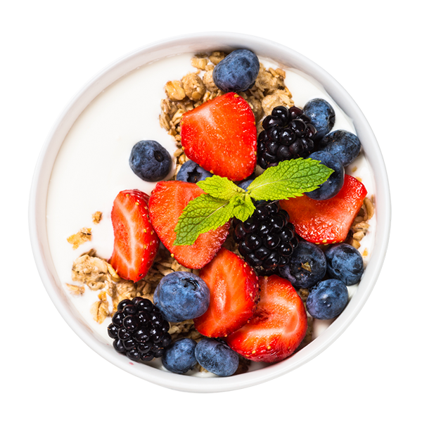 a shield implying strengthening immunity of the best probiotic supplement