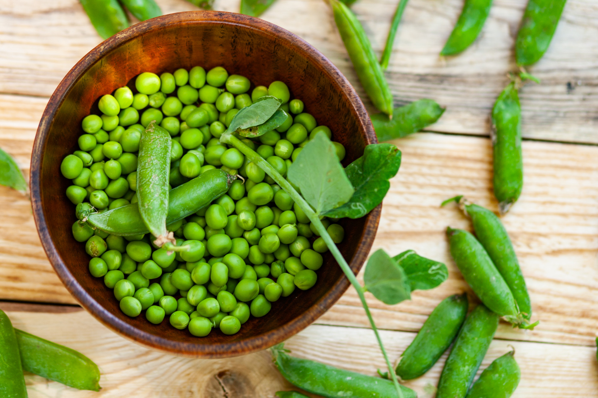 A bowl of shucked peas with several pea pods and pea leaves scattered around on a wooden surface