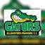 Allansford-Panmure Cricket Club logo