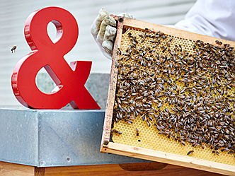  Market Center Rheintal
- Engel & Völkers gibt heimischen Honigbienen ein
Zuhause