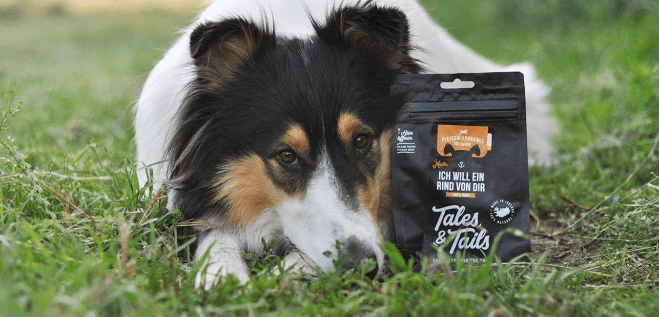 Trockenfutter für Hunde