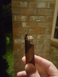 Cigar Session Photo