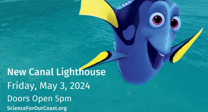 Movie Night at The Lighthouse: Finding Dory