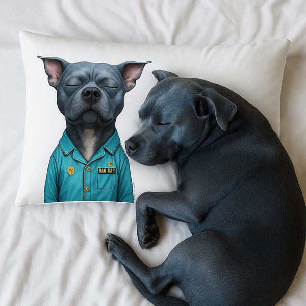Blue Staffy Pillow